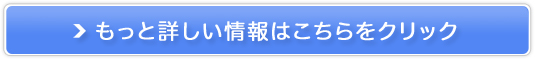 SxoCgElPCT[`̔TCg